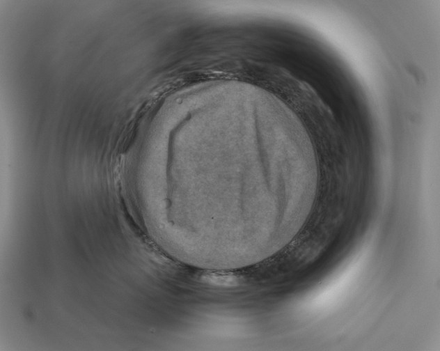 X0000112400767200909110929