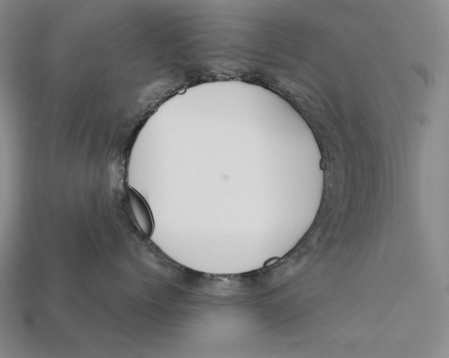 X0000112400768200909110929