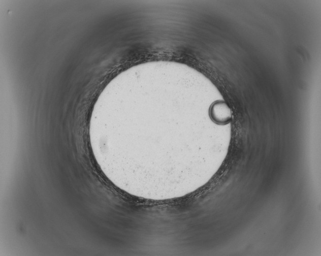X0000112400769200909110928