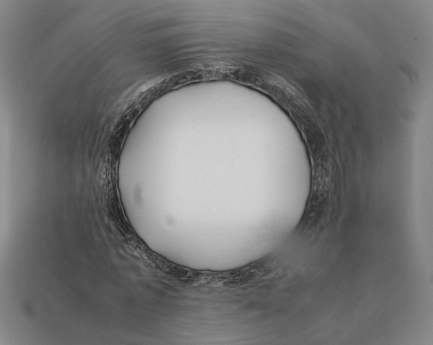 X0000112400773200909110928