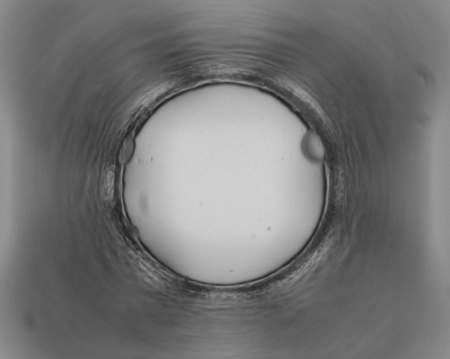 X0000112400777200909110928