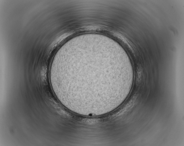 X0000112400778200909110928