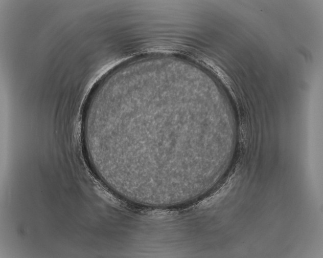 X0000112400779200909110928