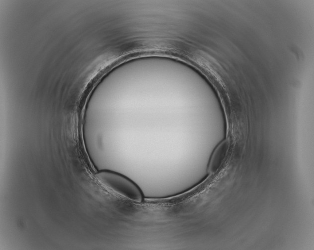 X0000112400781200909110928