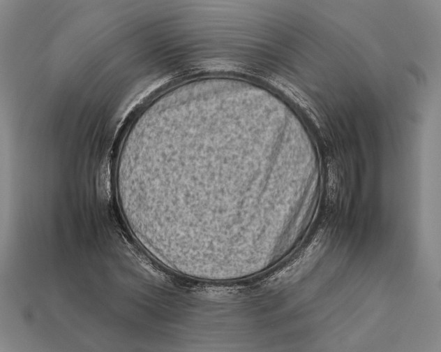 X0000112400782200909110928