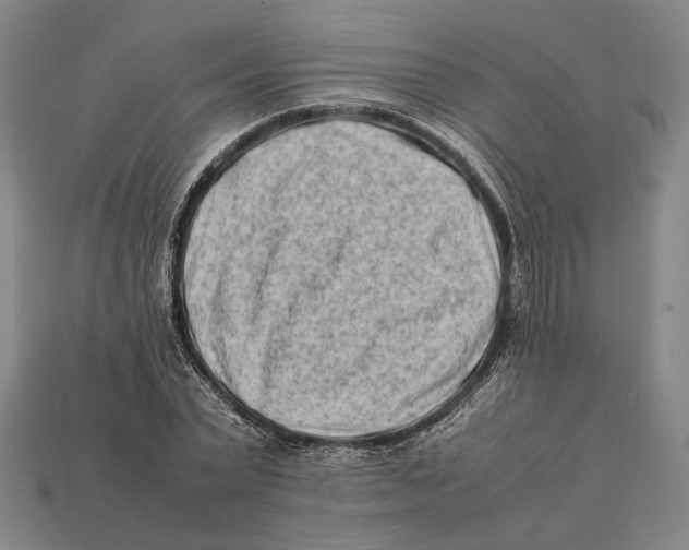 X0000112400783200909110928