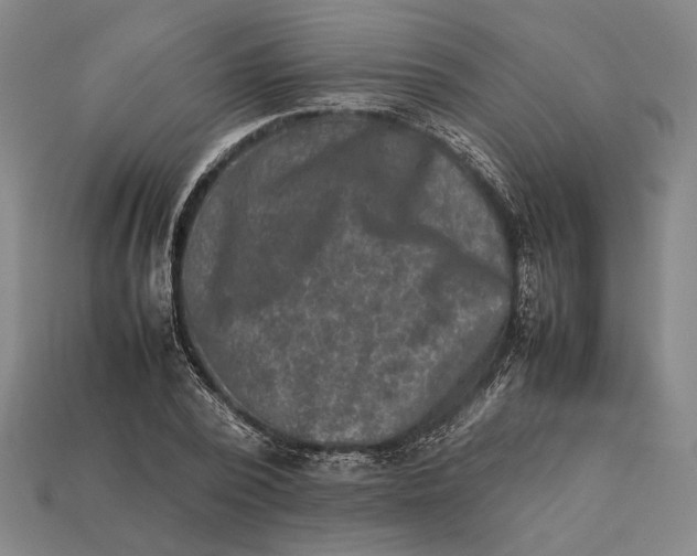 X0000112400784200909110928