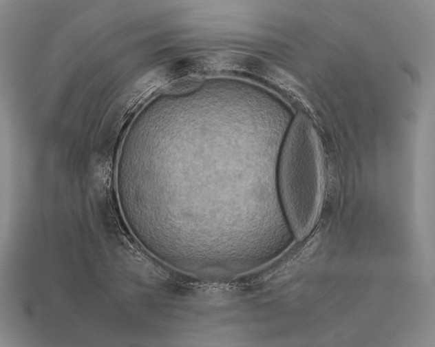 X0000112400785200909110928