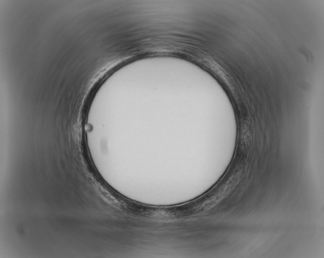 X0000112400787200909110928