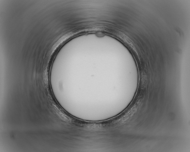 X0000112400789200909110928