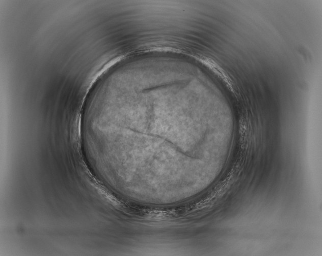 X0000112400790200909110928