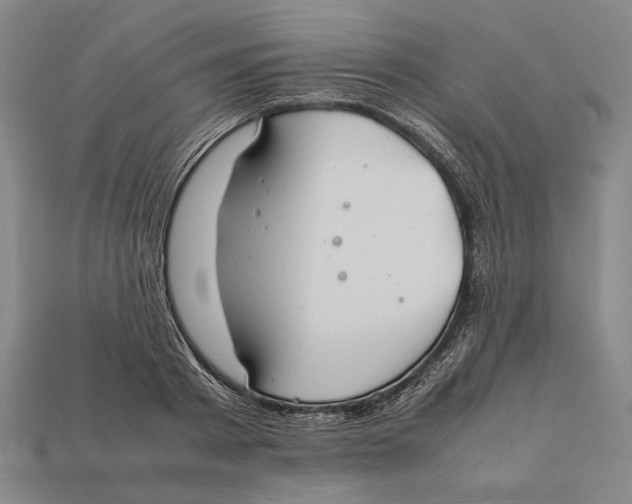 X0000112400793200909110928