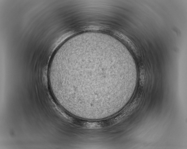X0000112400794200909110928