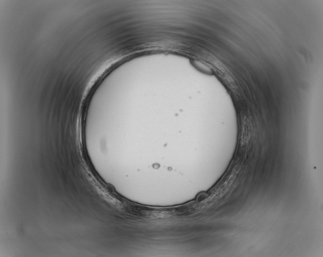 X0000112400796200909110928