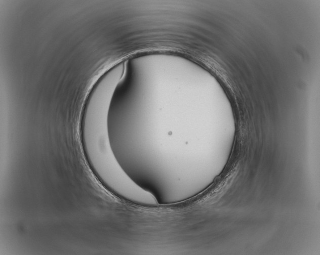X0000112400797200909110928