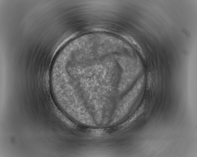 X0000112400798200909110928