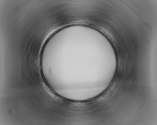 X0000112400800200909110928