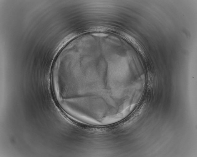 X0000112400802200909110928