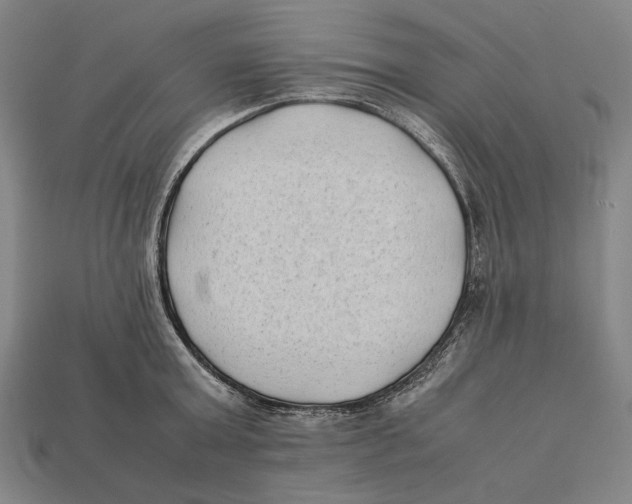 X0000112400803200909110928