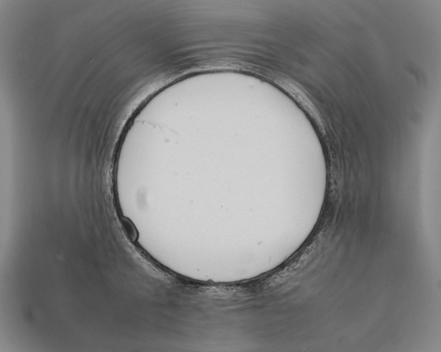 X0000112400805200909110928