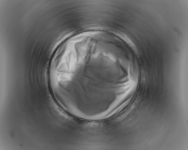 X0000112400806200909110928