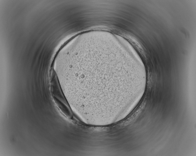 X0000112400808200909110928