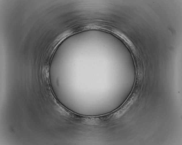 X0000112400809200909110928
