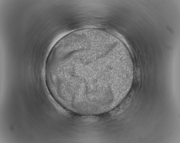X0000112400811200909110928