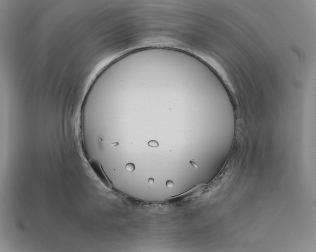 X0000112400815200909110927