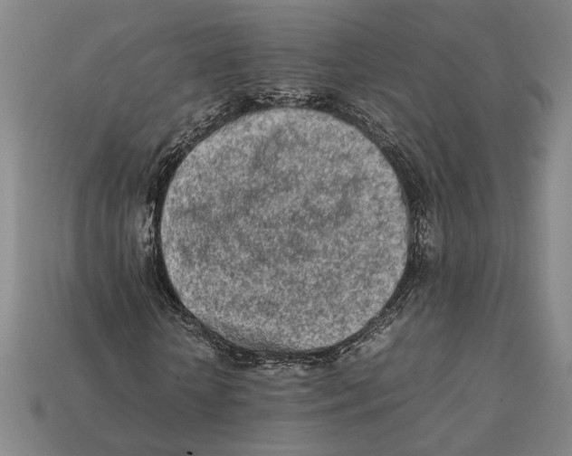X0000112400818200909110927