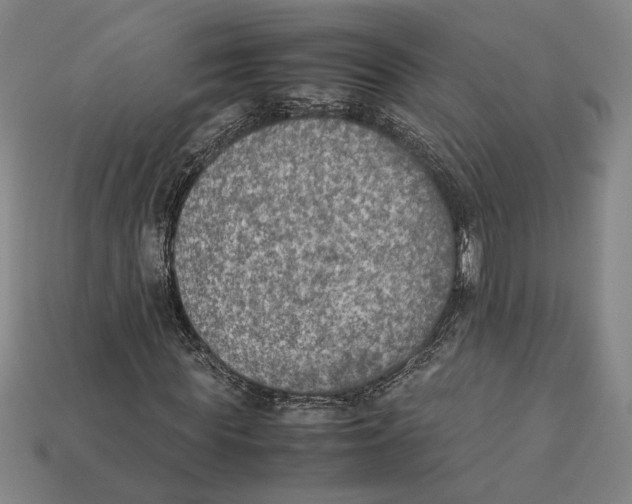 X0000112400819200909110927