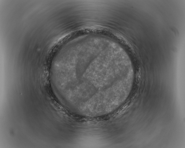 X0000112400822200909110927