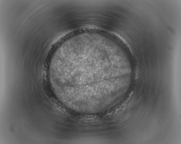 X0000112400823200909110927