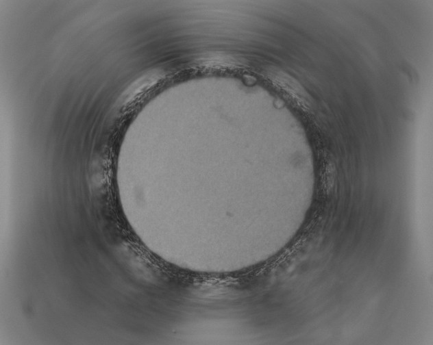 X0000112400824200909110927