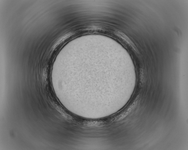 X0000112400826200909110927