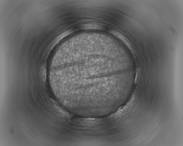 X0000112400829200909110927