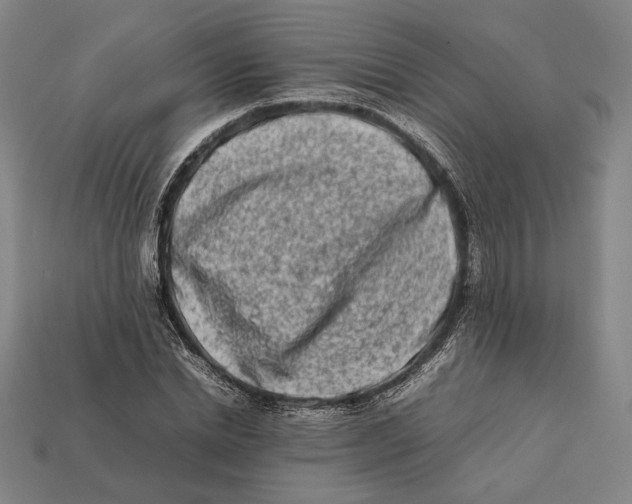 X0000112400830200909110927