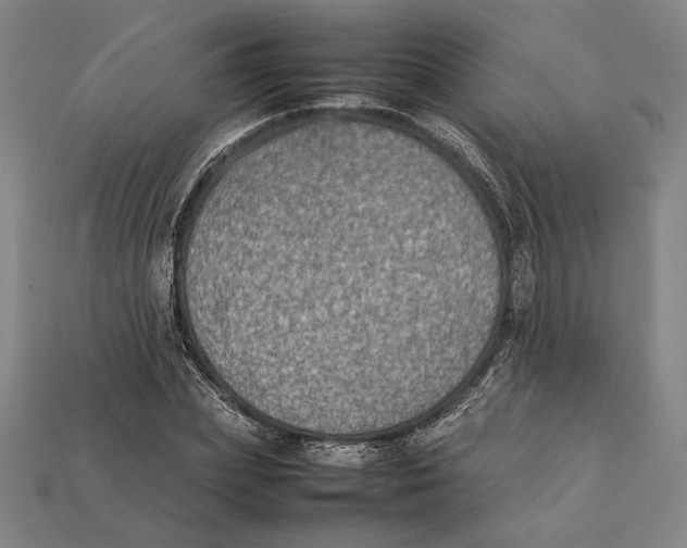 X0000112400831200909110927