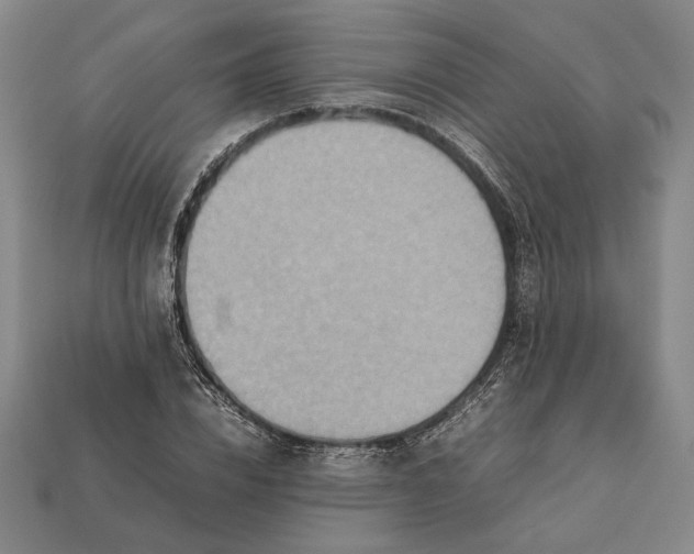 X0000112400832200909110927