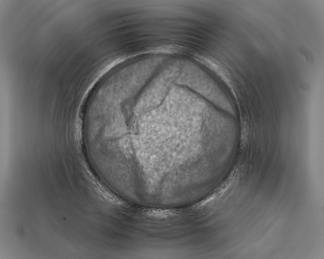 X0000112400835200909110927