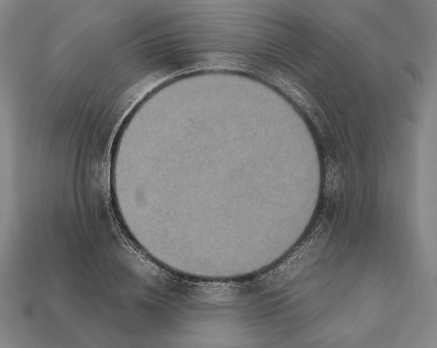 X0000112400836200909110927