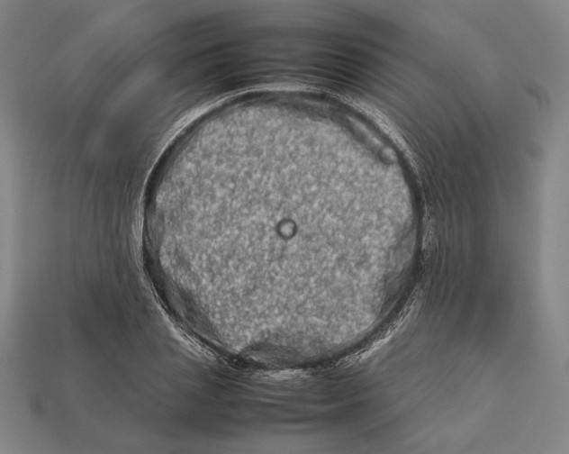 X0000112400837200909110927