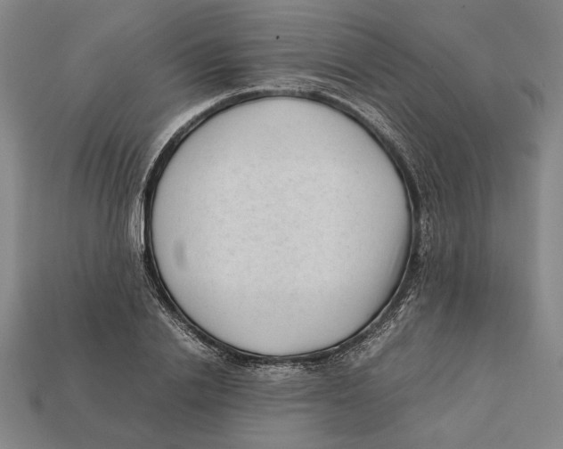 X0000112400838200909110927