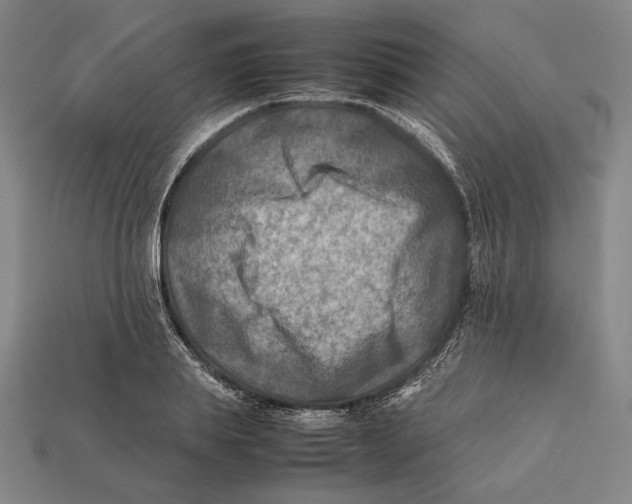 X0000112400839200909110927