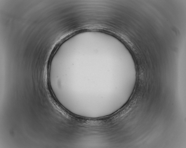 X0000112400840200909110927
