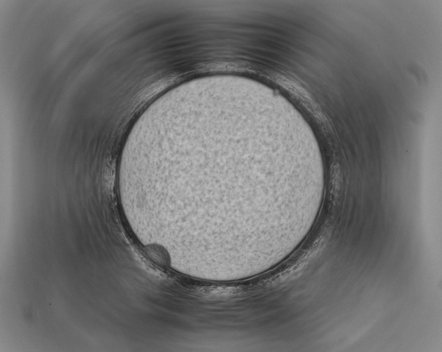 X0000112400841200909110927