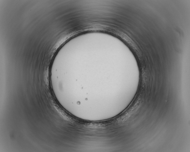 X0000112400842200909110927