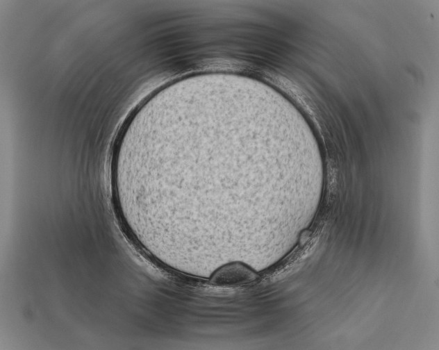 X0000112400843200909110927