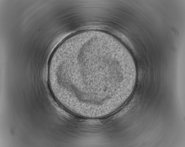 X0000112400844200909110927