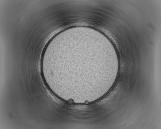 X0000112400845200909110927